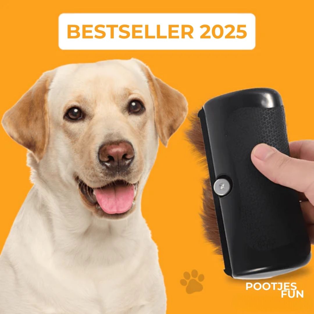 Vachtwonder-borstel - De bestseller 2025