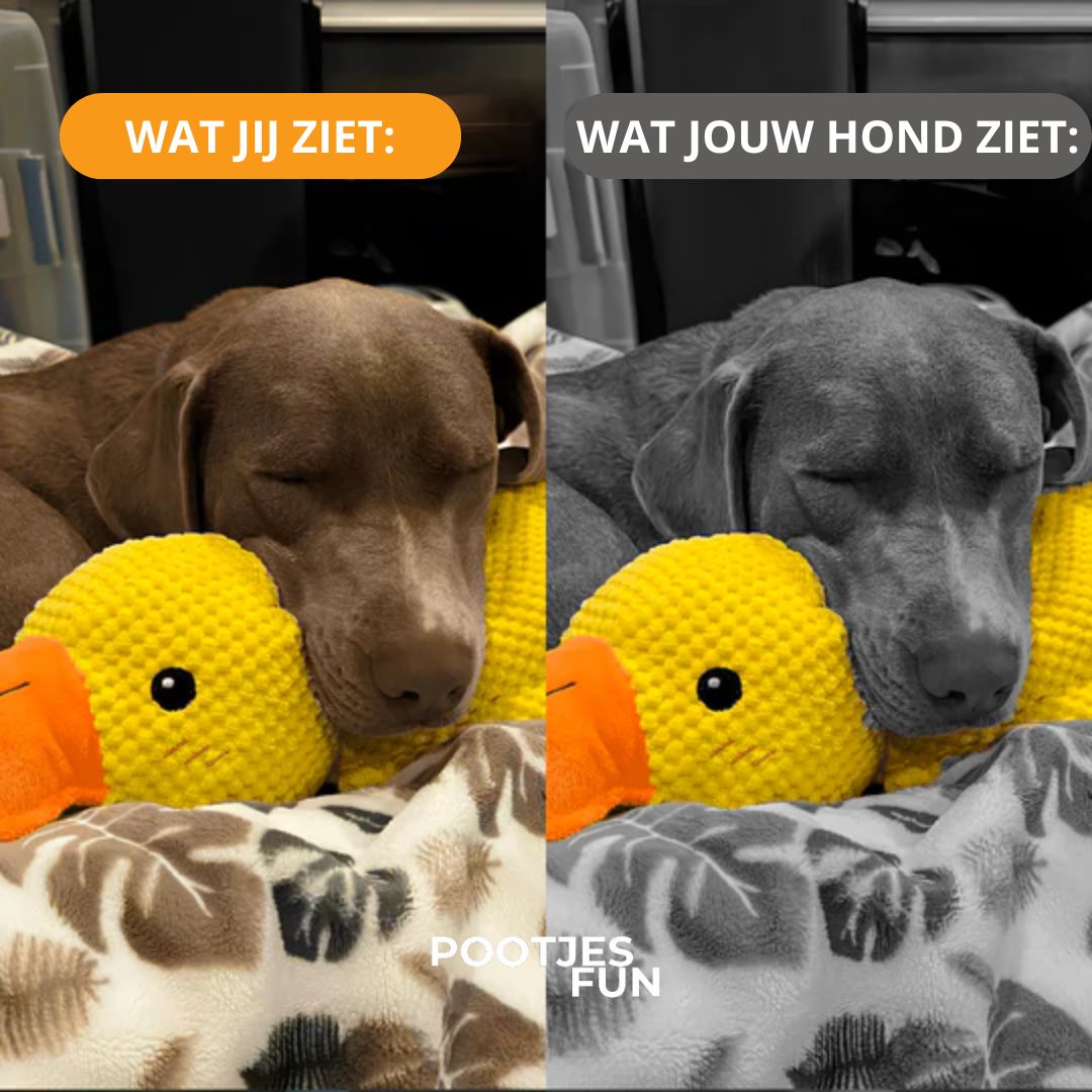 Antistress-eend - bestseller