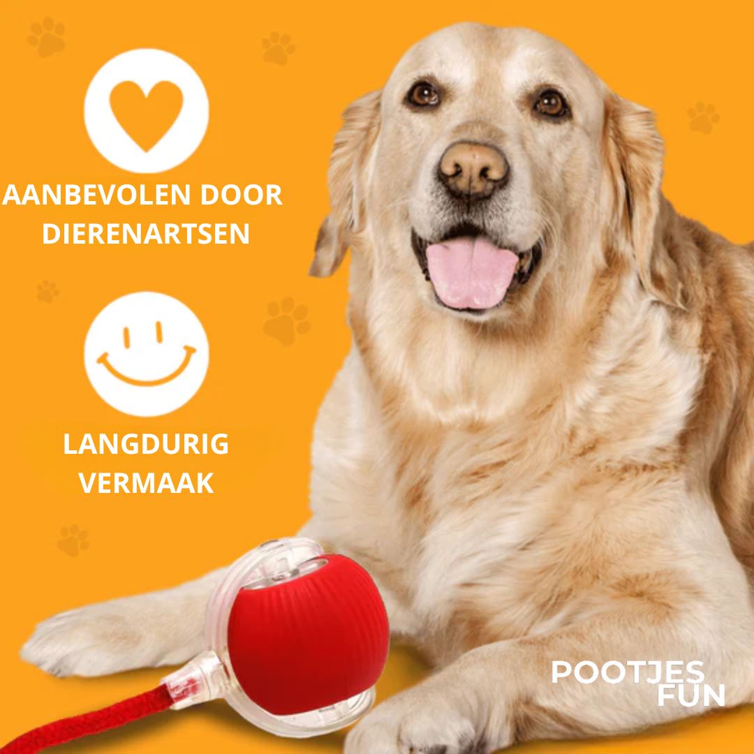 Magie Bal - De bestseller van 2025